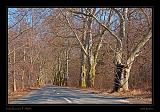 Alcsúti Arborétum 048